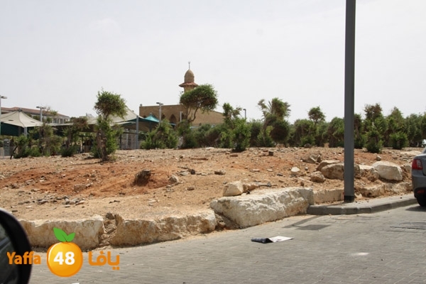 ard jablya 724 (2).JPG